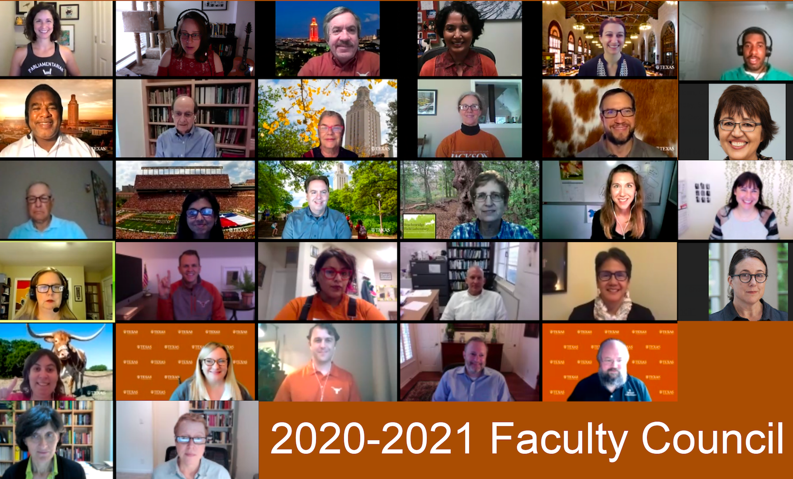 Picture of the 20-21 Faculty Council via Zoom