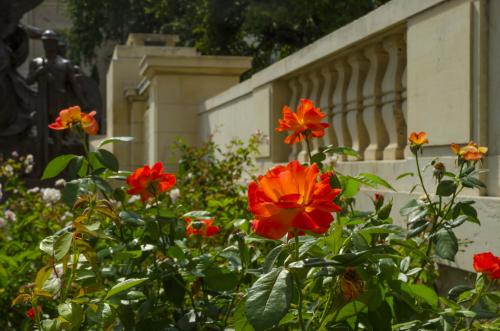 Campus scenes