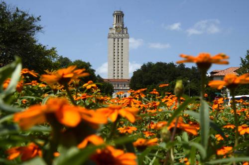 Picture of Orange Flowers in Front of Tower