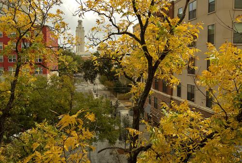 Fall Tower