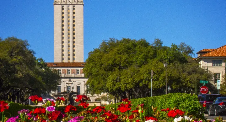Tower with flowers