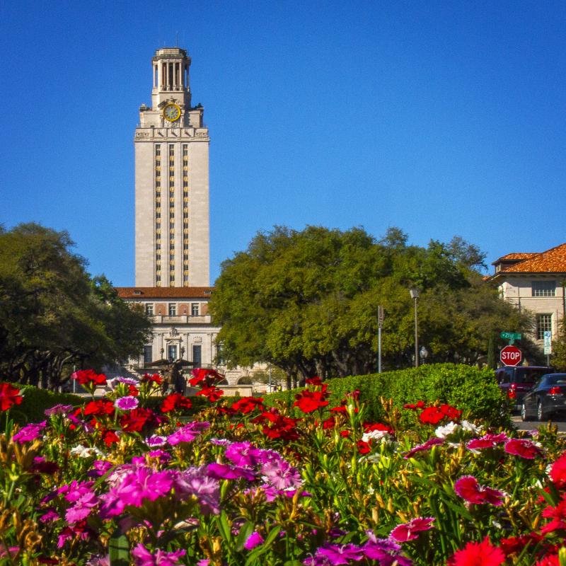 Tower with flowers